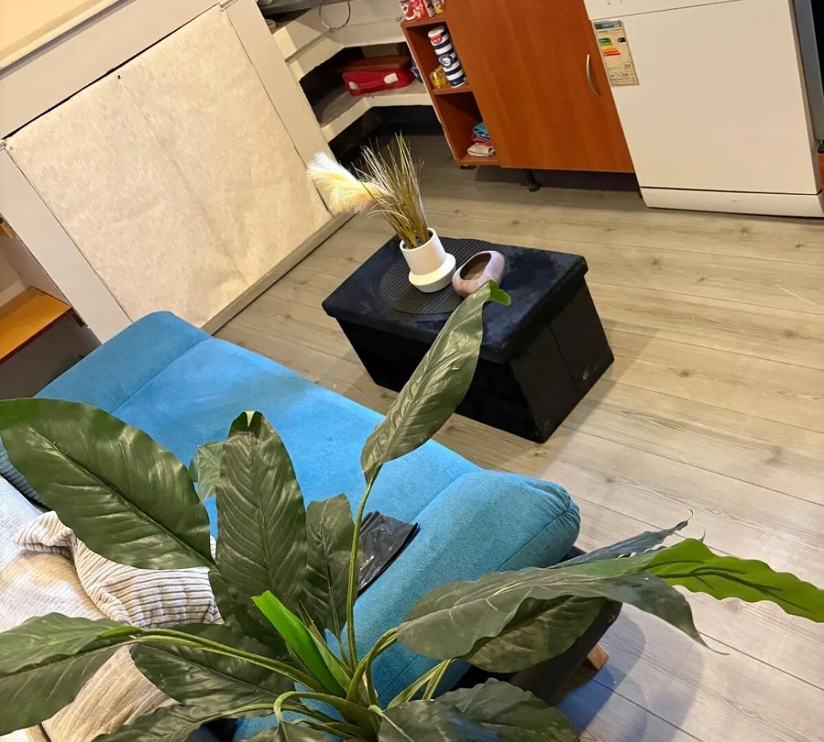 Entire Apartment Graulhet